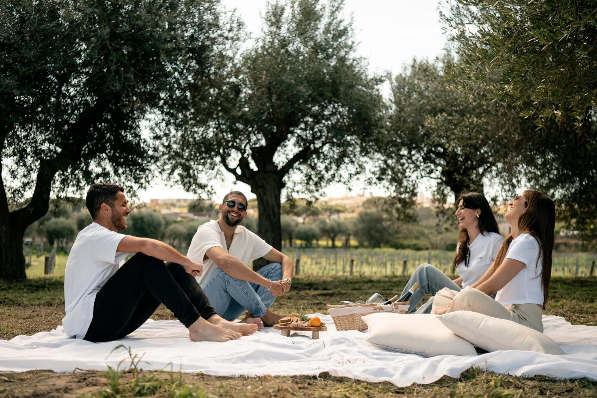 Tenuta Calitto Wine E *